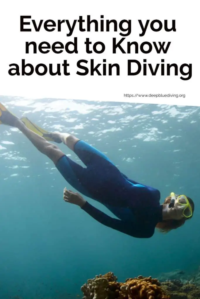 Everything you need to Know about Skin diving - What gear and training do you need to be a skin diver?