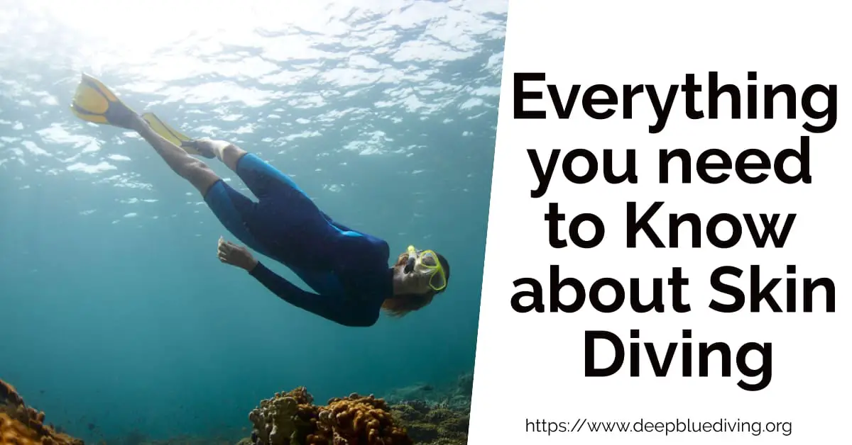 Everything you need to Know about Skin diving