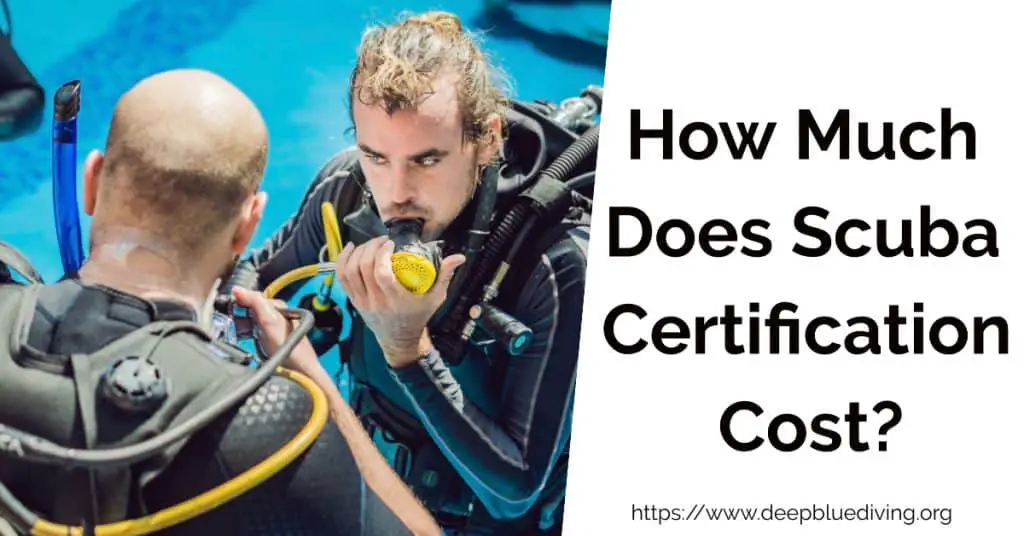 What are the scuba diving certification costs? 