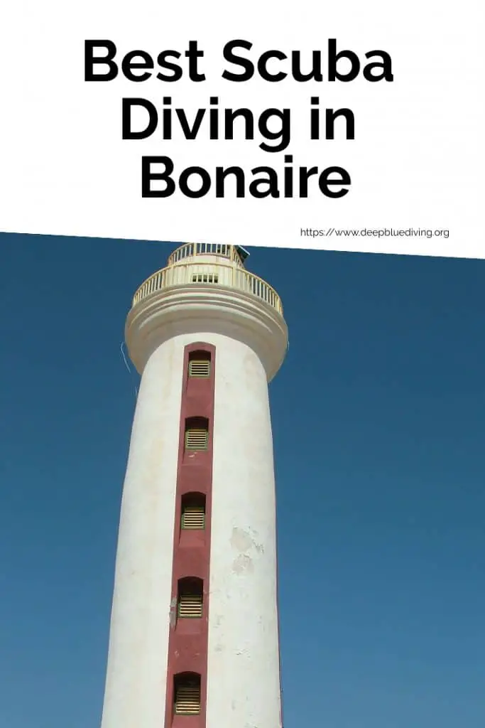 Finding the best dive spots in Bonaire Island