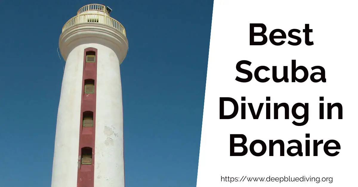 Overview of the best dive spots in Bonaire Island