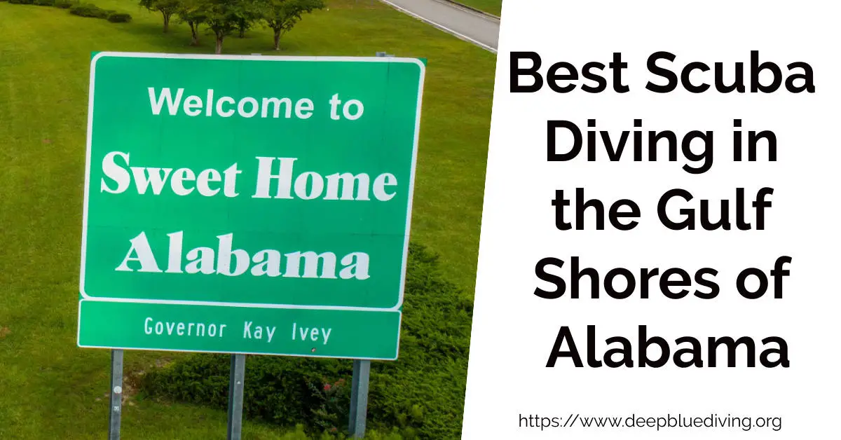 Best Scuba Diving in Alabama's Gulf Shores