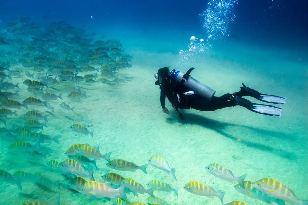 Diving in Bonaire