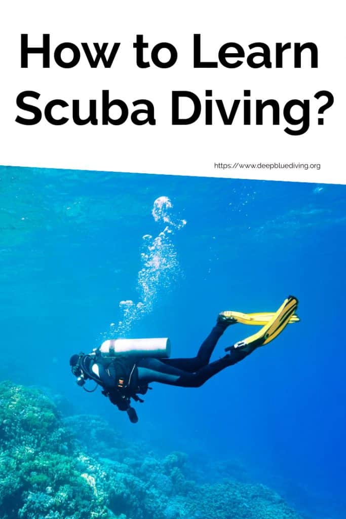 Beginner's Guide on how to learn to scuba dive