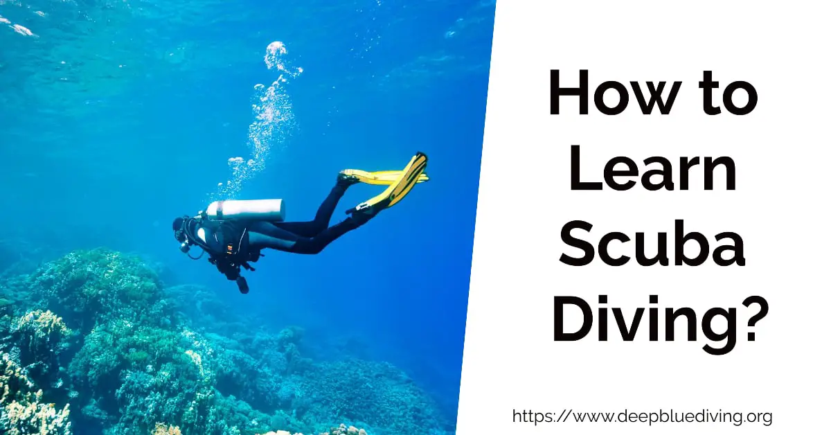 Beginner's Guide on how to learn to scuba dive