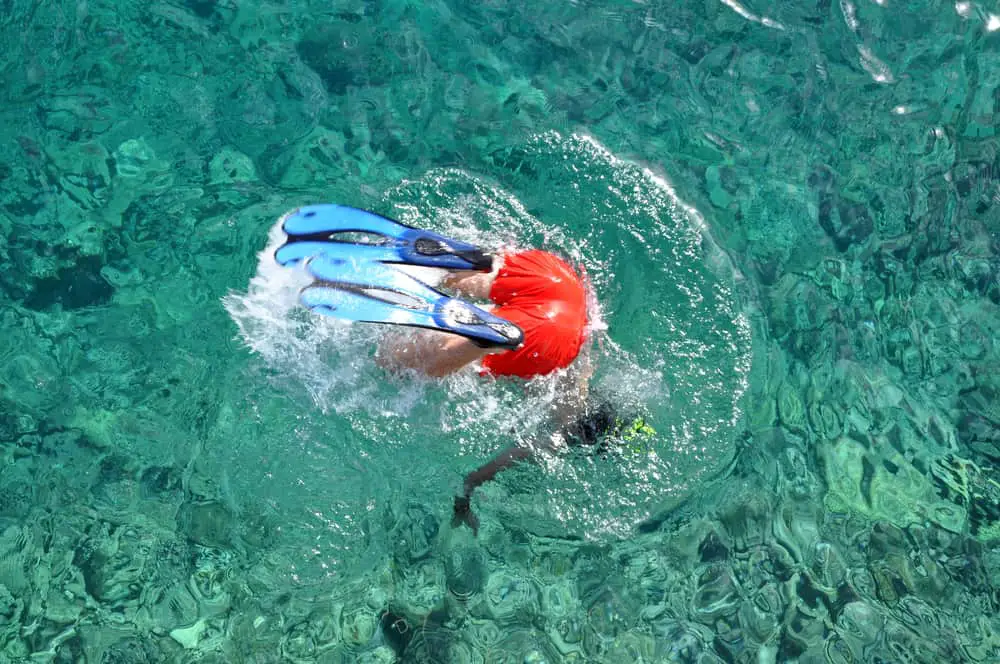 Snorkeling in Bonaire