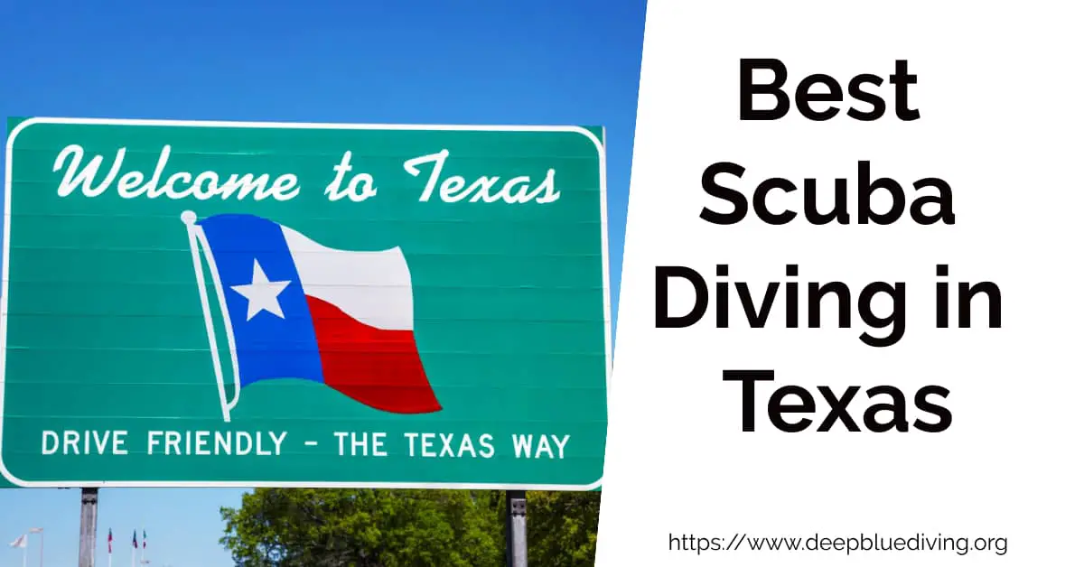 Best Scuba Diving Locations in Texas