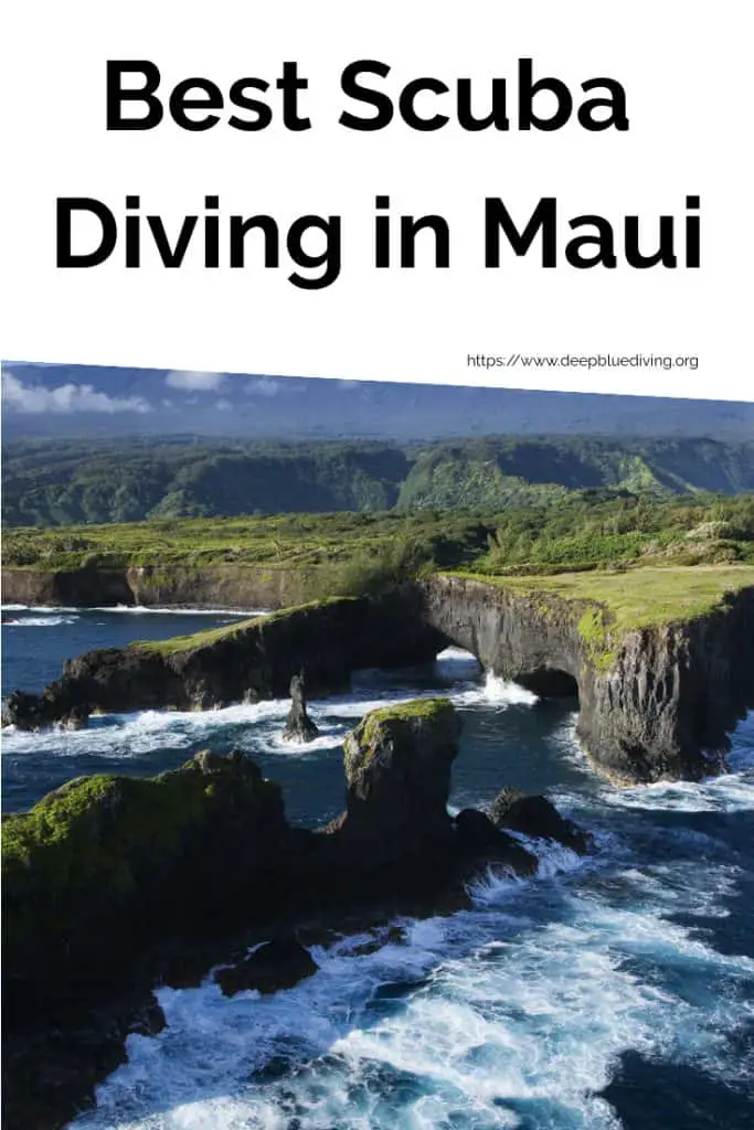 Best Scuba Diving Locations in Maui, Hawaii