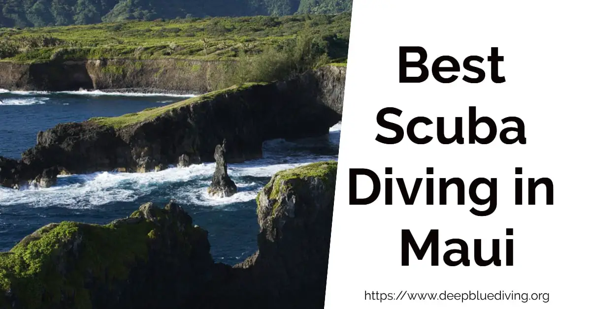 Best Scuba Locations in Maui, Hawaii