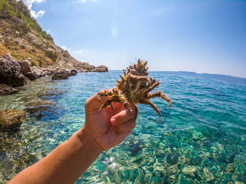 Diving in Croatia - Best Destinations