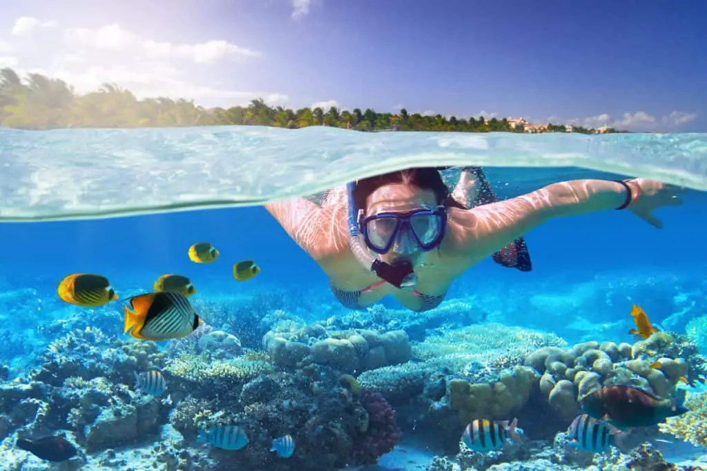 Snorkeling with a Dive Mask