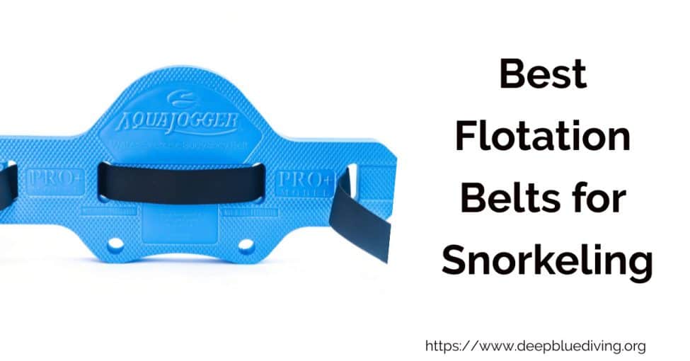 Best Flotation Belts for Snorkeling and Swimming Review