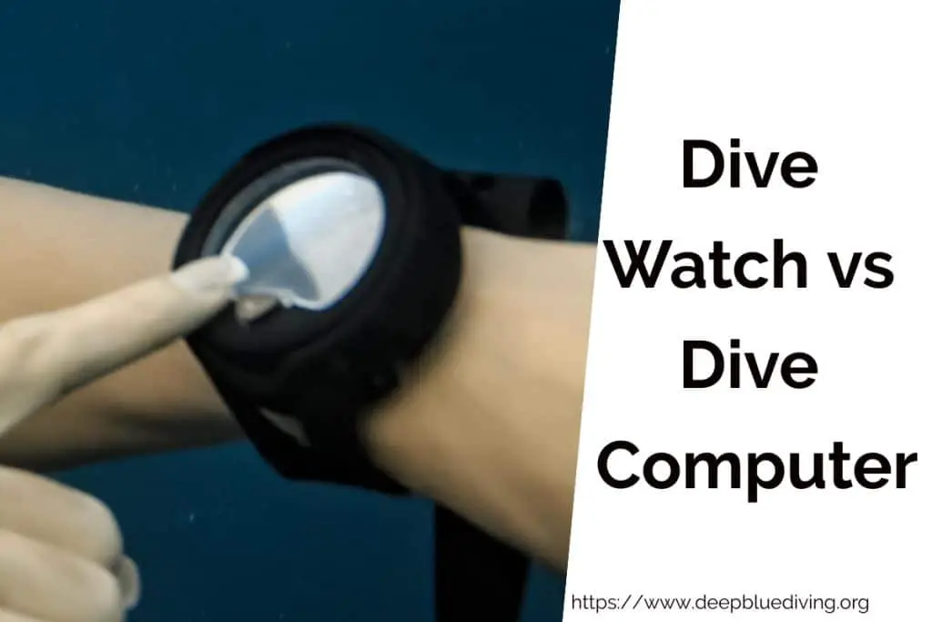 Dive Watch vs Dive Computer